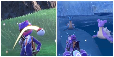 Shiny Hunting Methods .
